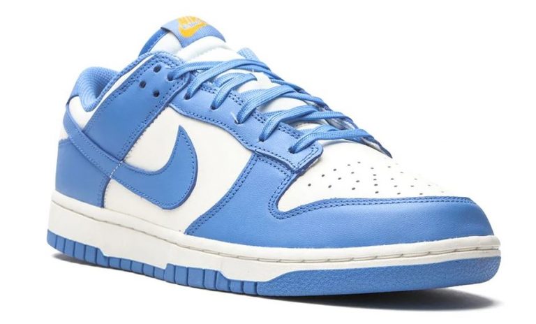 nike dunk low coast